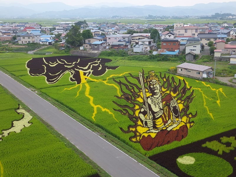 japanese-rice-paddy-art-7
