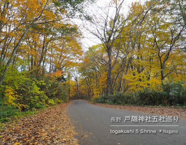 [秋の戸隠神社] 二池＋五社巡り