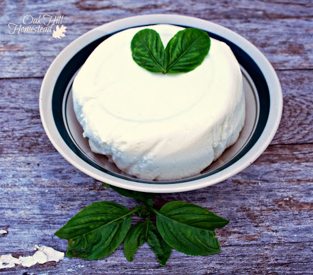 A mound of fresh ricotta cheese in a green and white bowl on a wooden table.