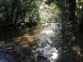 By E.V.Pita / River Anllóns to Ponteceso, Galicia, Spain, Fall 2012