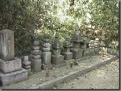 DSC00738