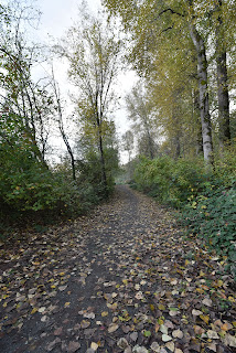 Sumas River Dyke Trail TCT.