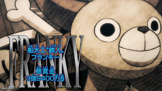 ワンピースアニメ 麦わらの一味 フランキー 手配書 懸賞金 ONE PIECE  Straw Hat Pirates FRANKY