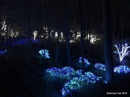 Walking paths through the lights