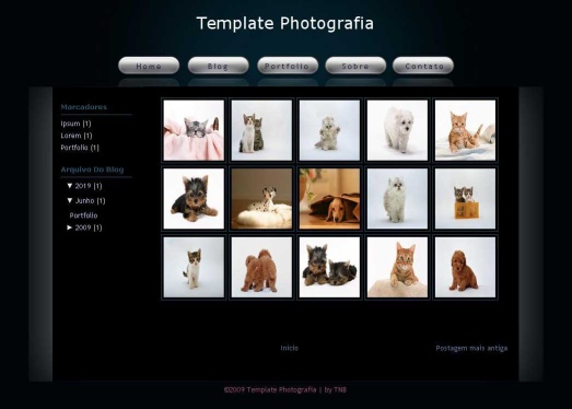 Best Photoblog templates for Blogger or blogspot blogs for free