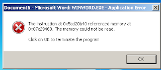 Winword.exe application error