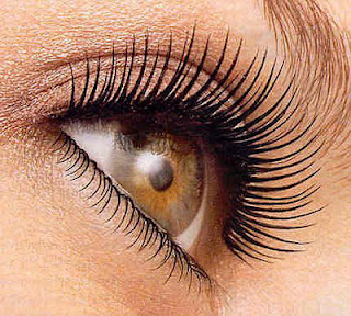 Tips on Wearing False Eyelashes