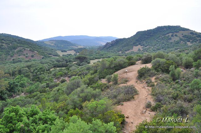 Canuto del Montero