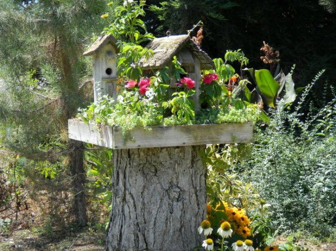 Minneapolis Homestead: Enchanted Forest Garden Series: Best Ideals to 