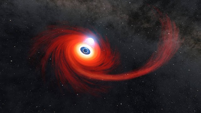 Astronomers Gets Unusually Close Glimpse of a Black Hole Devouring a Passing Star
