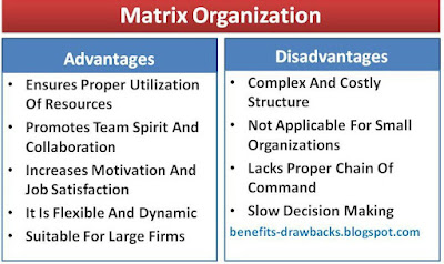 advantages and disadvantages of matrix organization