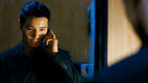 The Man From Nowhere 2010 vf vk