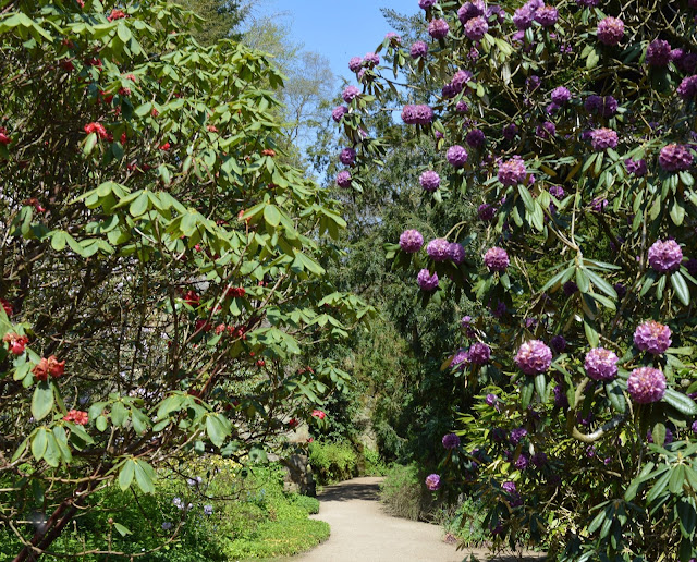 13 of the best pushchair-friendly walks around North East England as recommended by local parents - belsay hall