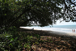 Jungle and the sea in Cahuita - Costa Rica