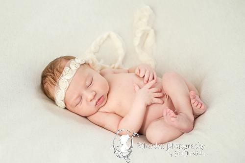 Professional portrait of a newborn baby using a round backdrop stand