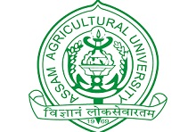 Deputy Librarian at Assam Agricultural University, Jorhat