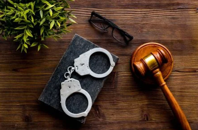 Legal Defenses in Criminal Cases: Insanity, Self-Defense, and Necessity