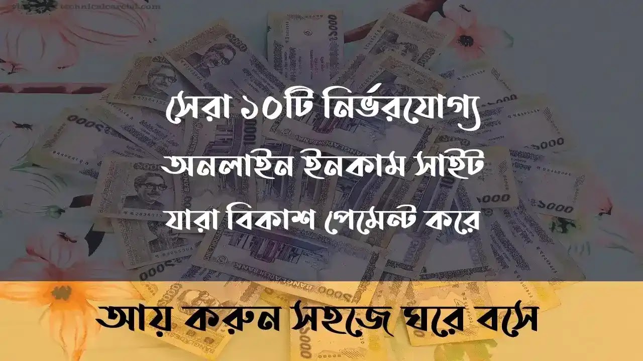 অনলাইন ইনকাম সাইট বিকাশ পেমেন্ট