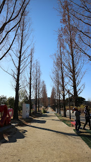 Suncheon National Garden