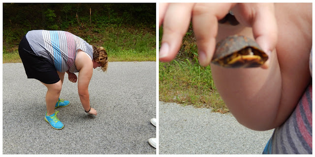 saving baby turtles is Sarah Eli's job -@CarmaPoodale