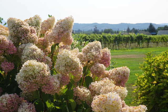 hood river valley fruit loop