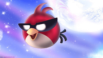 #5 Angry Bird Wallpaper