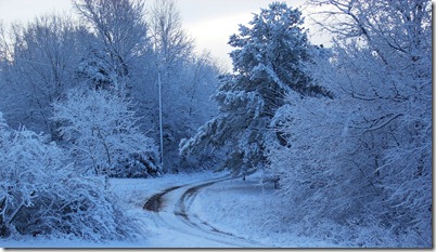 Winter Wonderland Simple Cookery