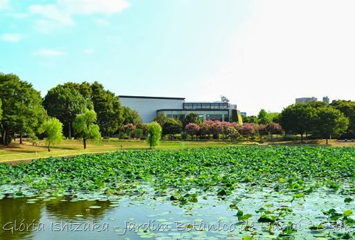 Glória Ishizaka - Jardim Botânico Nagai - Osaka 27