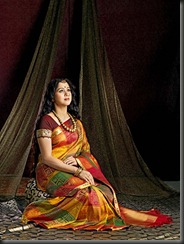 devayani_in_silk_saree