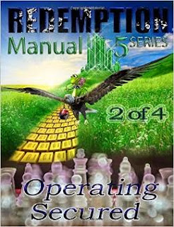 What Is A Secured Operating Secured (Volume 2) Paperback