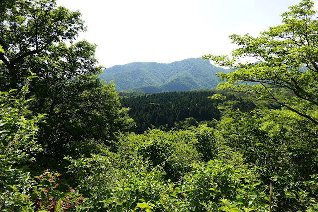 鳥取県西伯郡大山町豊房　香取の山道からの眺め