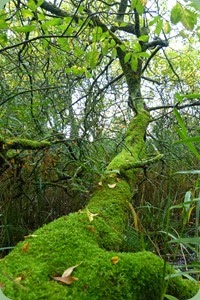 P1200971