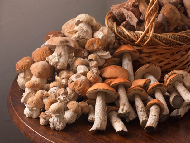  Can you eat mushrooms raw? | Organic mushrooms | Biobritte mushrooms