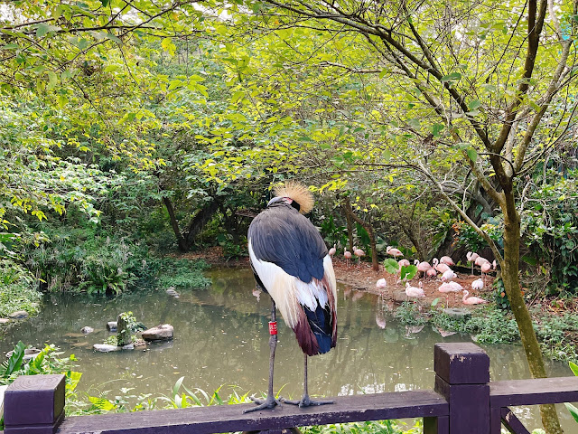 臺北市立動物園