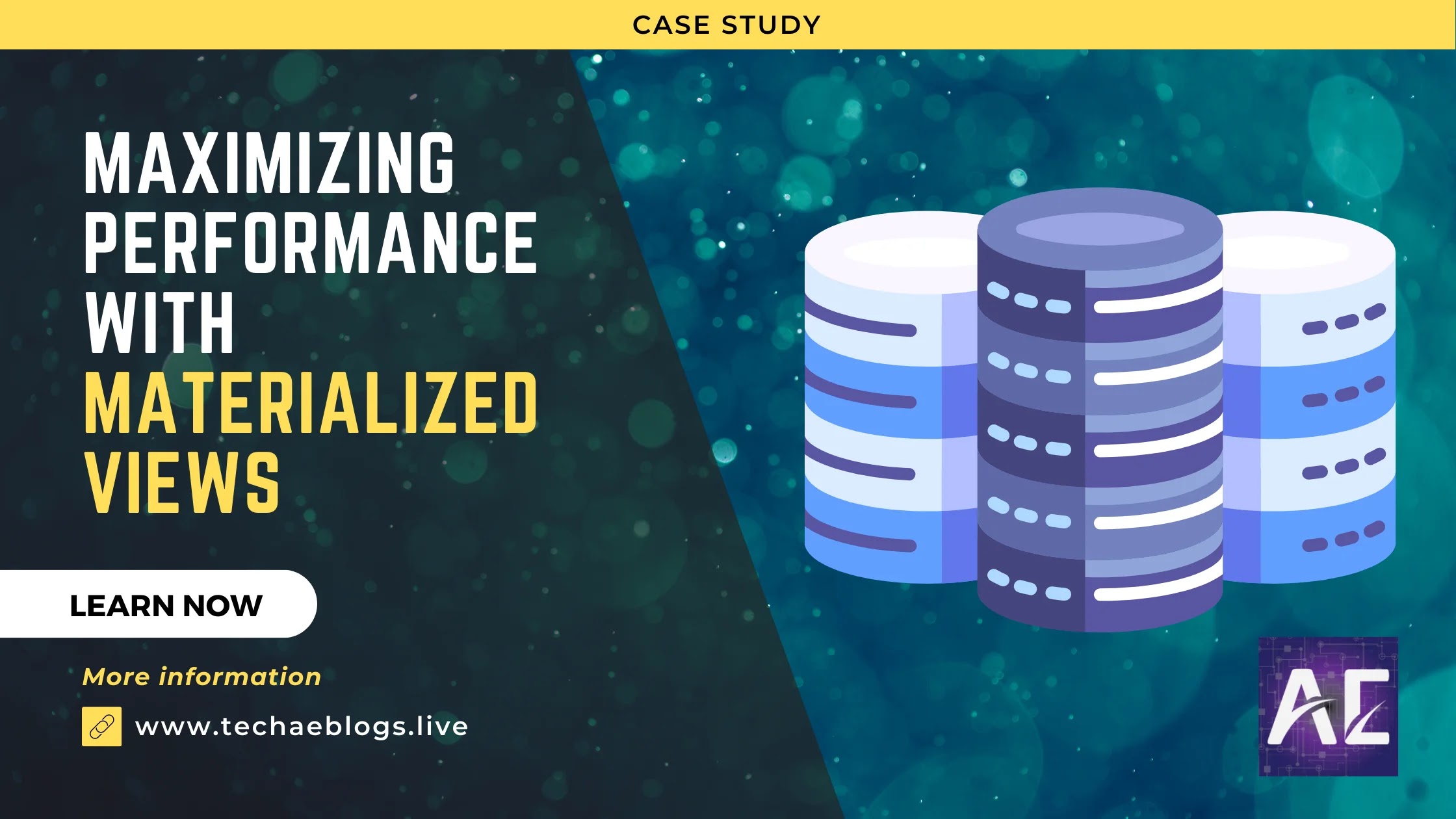 Maximizing Performance with Materialized Views: A Case Study