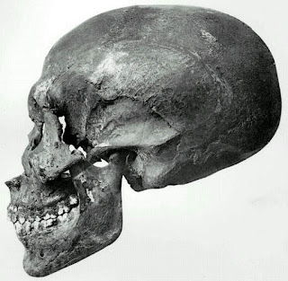 The skull found in the coffin at KV55