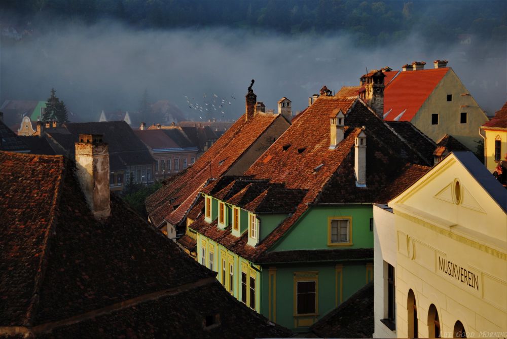 Sighisoara - serce Transylwanii. 