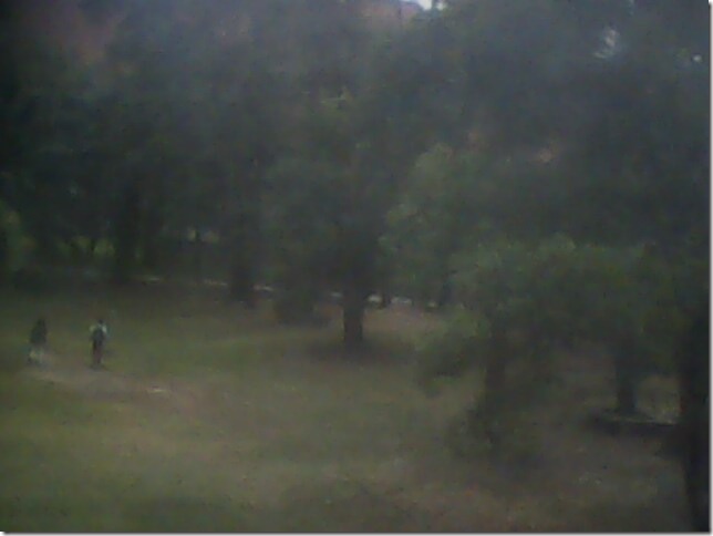 IMG0173A