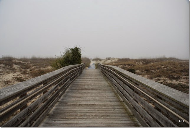 03-20-15 C Jekyll Island (85)