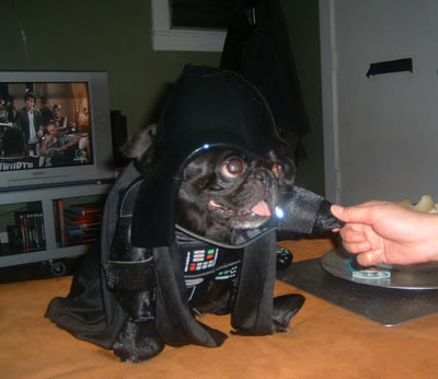 Pug Vader