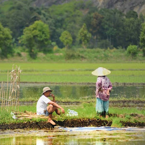 Tanjung Kaliang