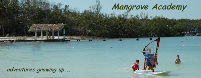 Mangrove Academy