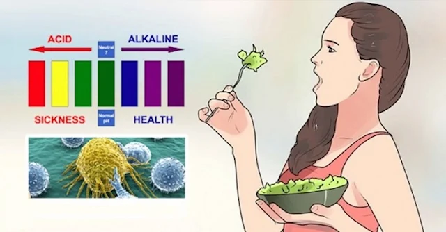 Top 27 Alkaline Foods On The Planet