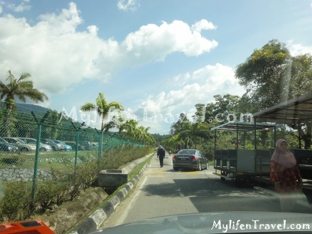 Felda hot spring 10