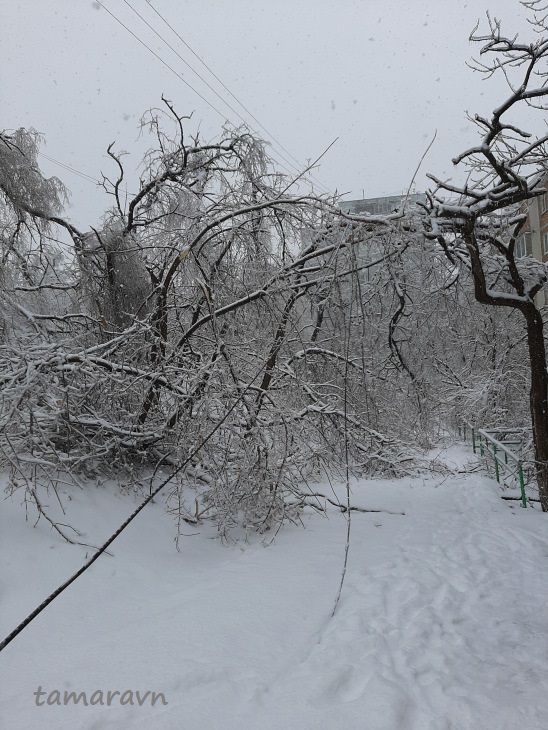 Ледяной дождь во Владивостоке и Приморье