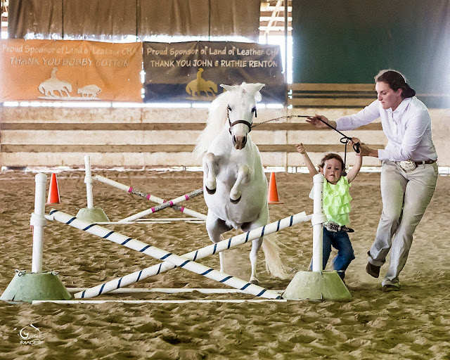 Genie Images, Jeanne Harford, equine photographers, event photographers, San Antonio photographers,horses, horse photography, Texas equine photographers