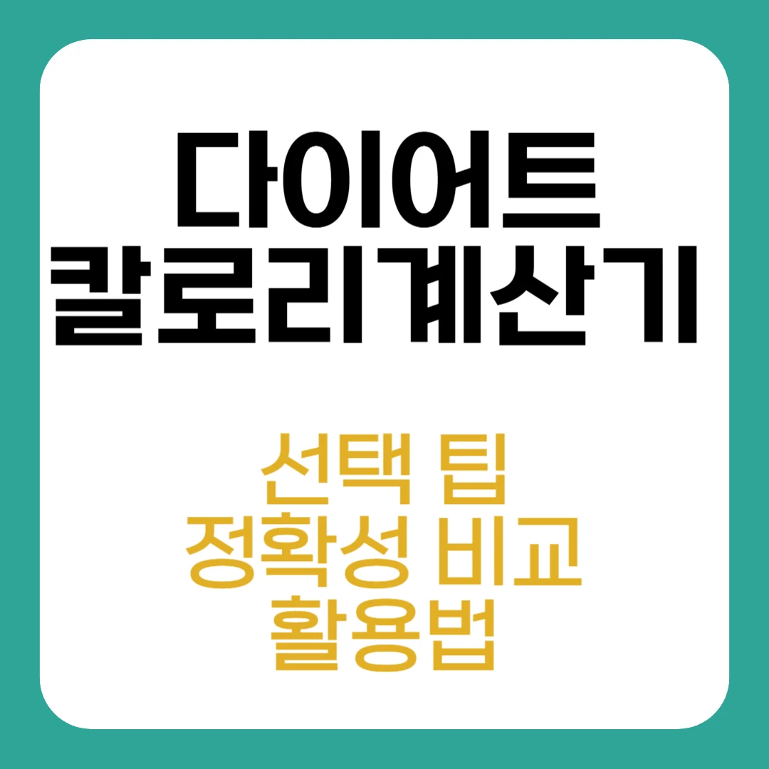 다이어트 칼로리계산기 선택 팁과 정확성 비교, 활용법까지 총정리