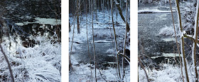 Rude Skov med sne og et sort/hvids landskab