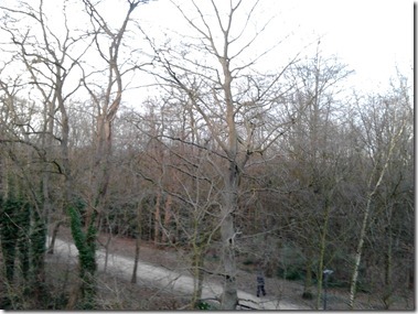 2012-01-23 15.47.50