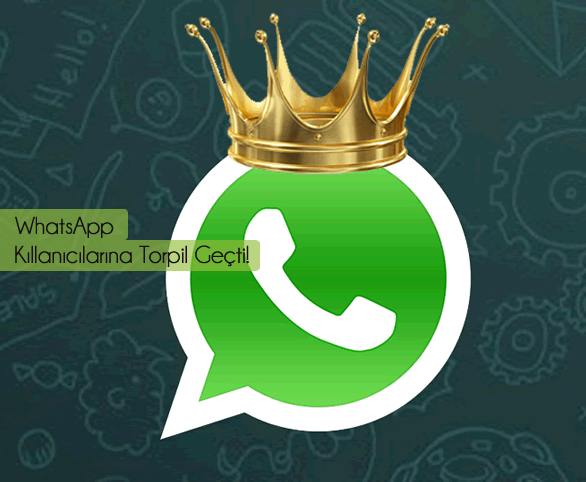 WhatsApp Bazı Kullanıcılarına Torpil Geçti!